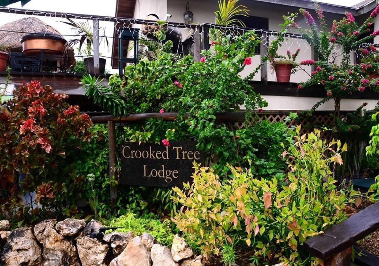 Crooкed Tree Lodge Belize Crooked Tree Eksteriør bilde